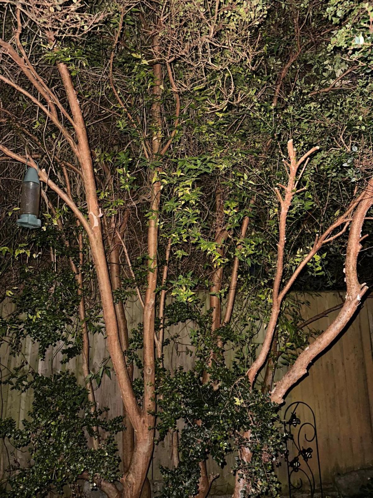 格拉斯顿伯里Peace & Tranquility In The Centre Of Town别墅 外观 照片